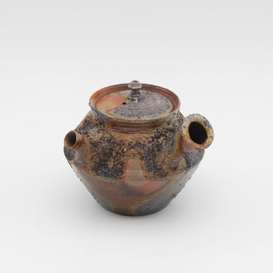 Bizen Yohen Kyusu Teapot #241015