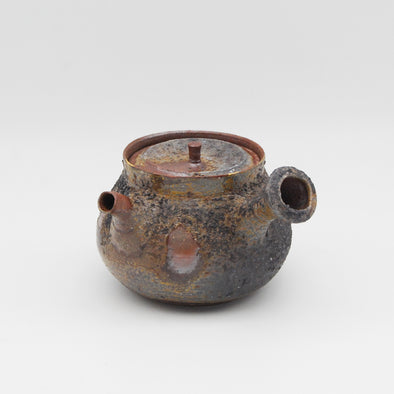 Bizen Yohen Kinsai Kyusu Teapot #241035