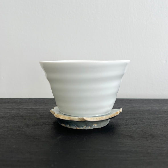 "REBORN" Medium Cup F