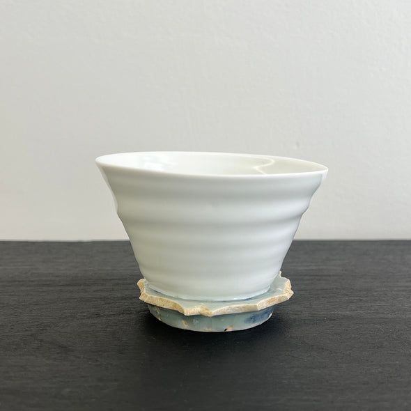 "REBORN" Medium Cup F