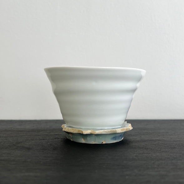 "REBORN" Medium Cup F