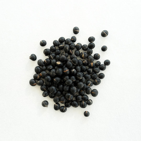 Japan: Roasted Black Soybean Kuromame