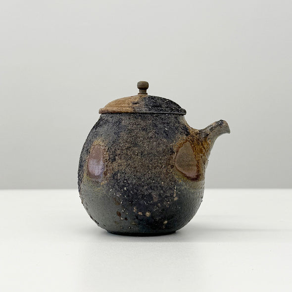 Bizen Yohen Kyusu Teapot #241013