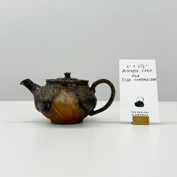 Bizen Yohen Teapot #13