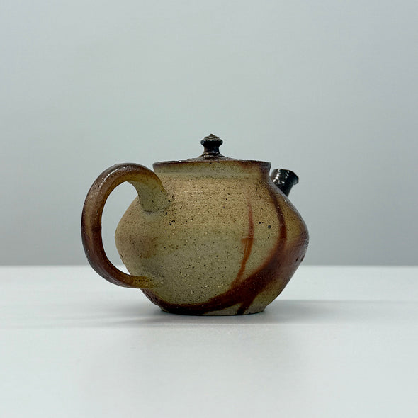 Bizen Teapot #12